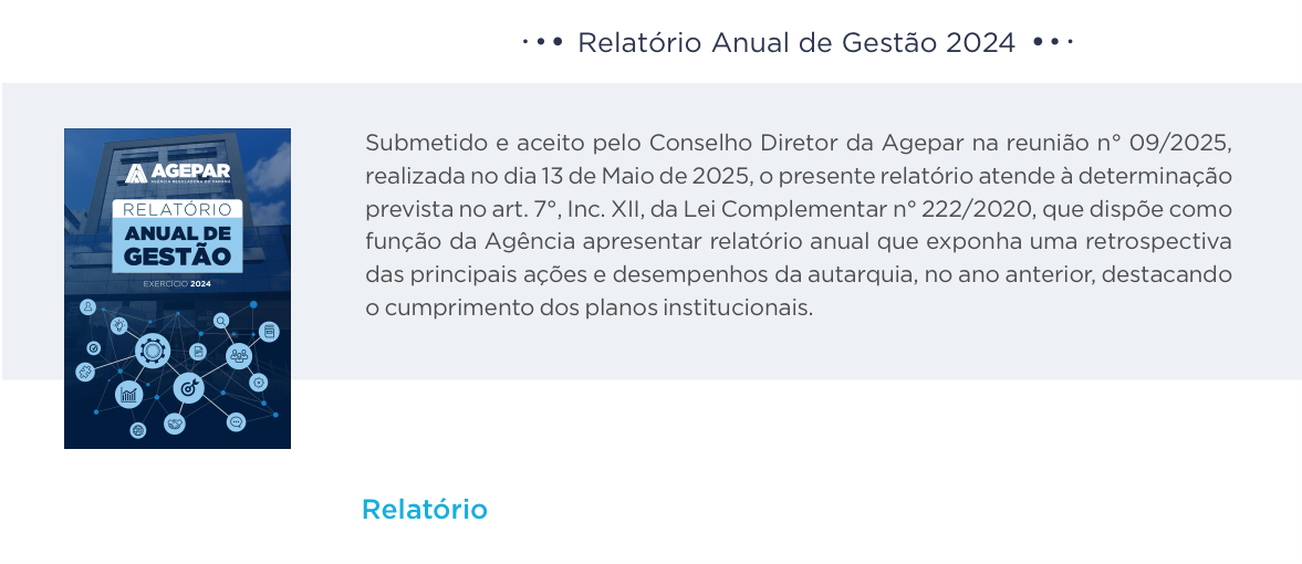 Relatório Anual de Gestão 2024