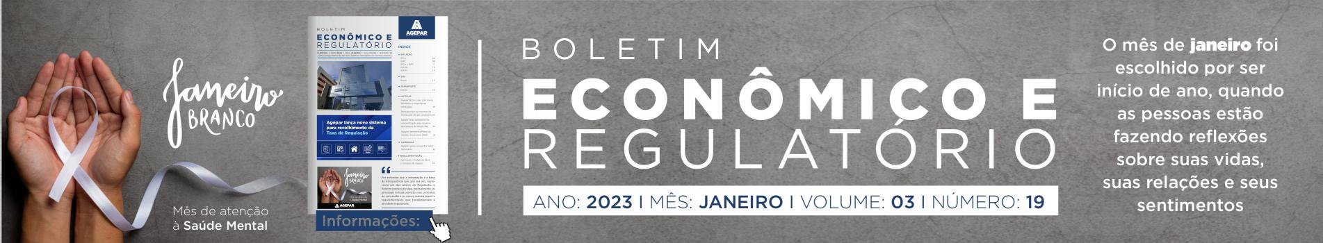 Boletim Econômico e Regulatório - Número 19 2023