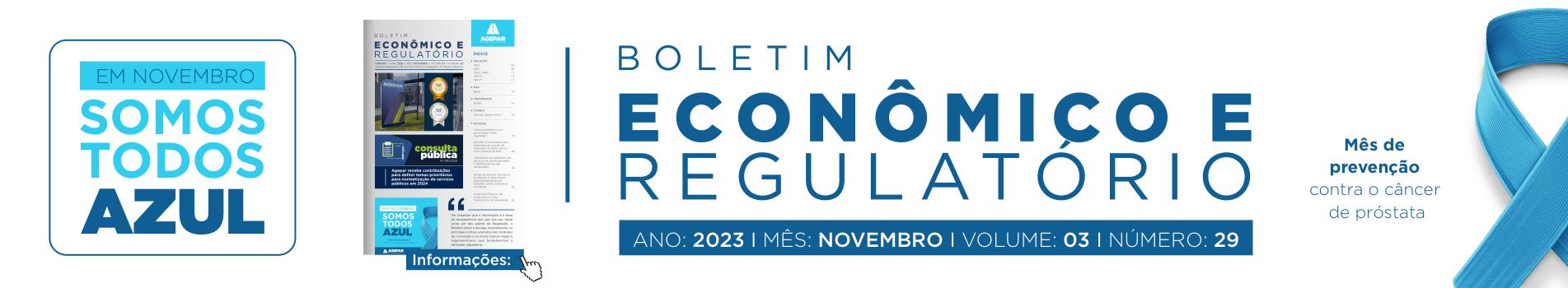 Boletim Econômico e Regulatório - número 29 - novembro 2023