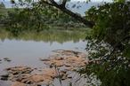 Rio Ivai