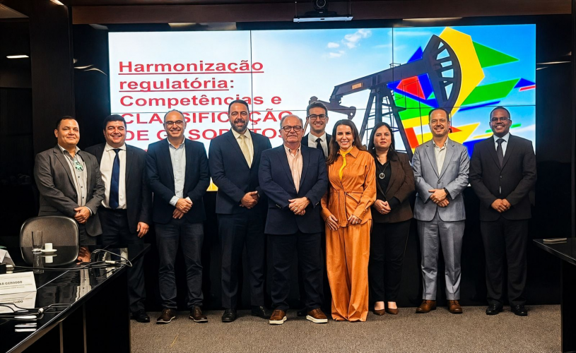 Diretora da Agepar participa de debate técnico sobre competências e classificação de gasodutos