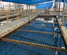 Sanepar - Agepar realiza fiscalização Ponta Grossa