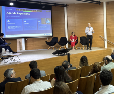 Agepar participa de Semana de Câmaras Técnicas da ABAR em Vitória	